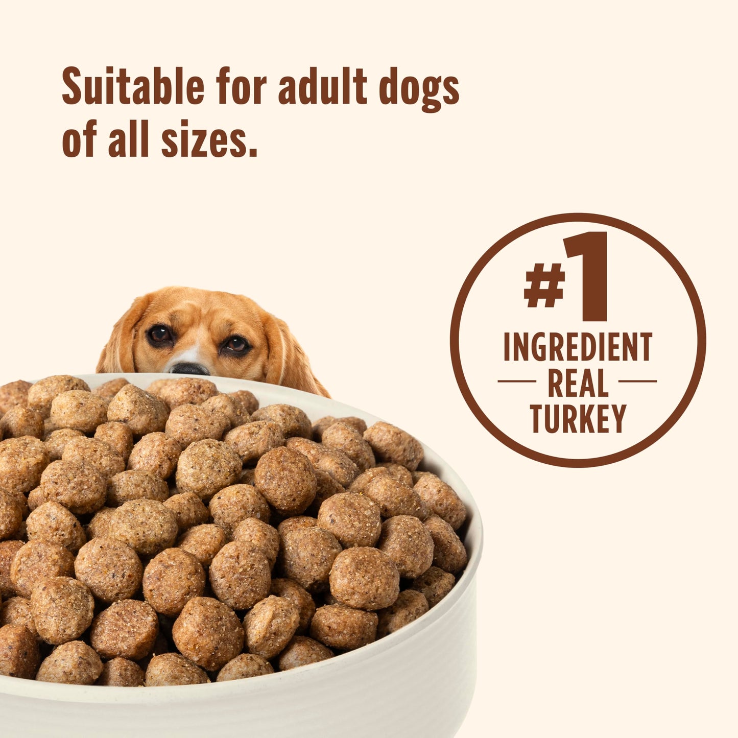 Rachael Ray Nutrish Dry Dog Food, Turkey, Brown Rice & Venison Recipe for Weight Management, 5.5 Pounds