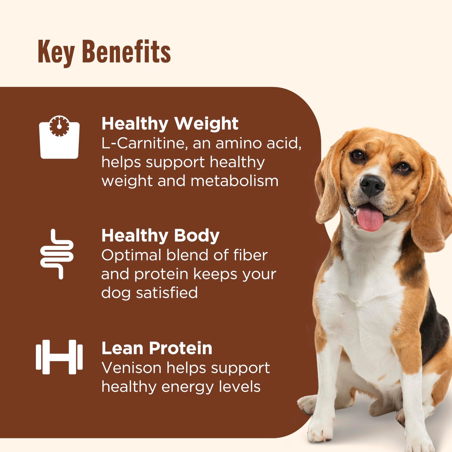 Rachael Ray Nutrish Dry Dog Food, Turkey, Brown Rice & Venison Recipe for Weight Management, 5.5 Pounds