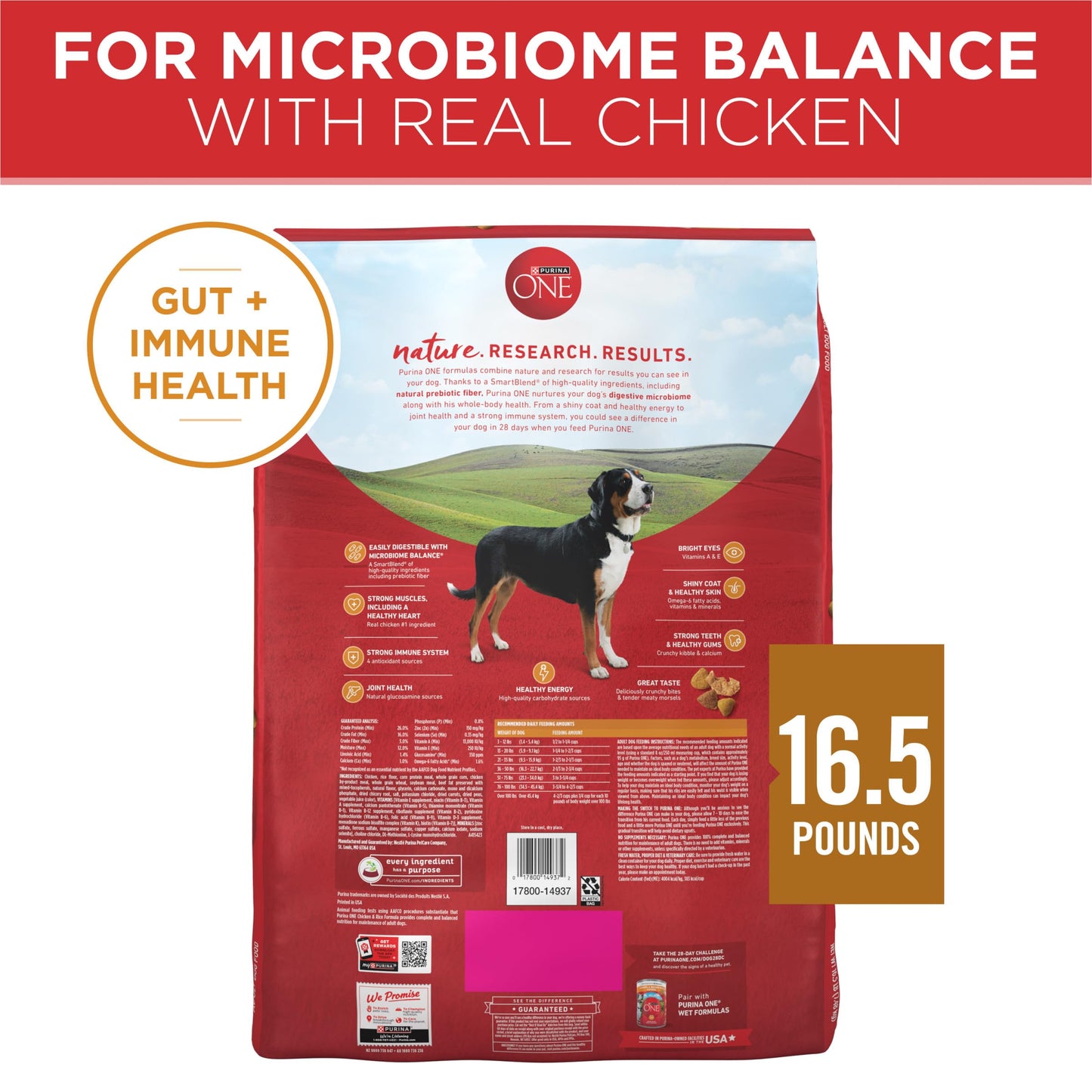 Purina ONE Chicken and Rice Formula Dry Dog Food - 8 lb. Bag